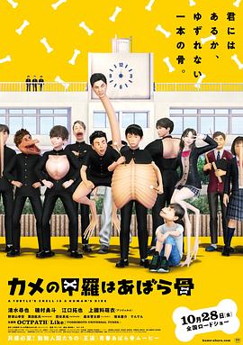 乌龟的壳其实是肋骨海报图片