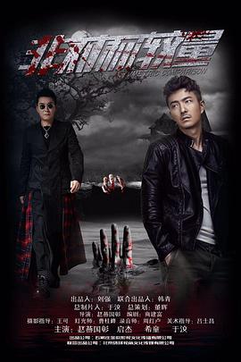 非对称较量海报图片