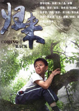 归来海报图片