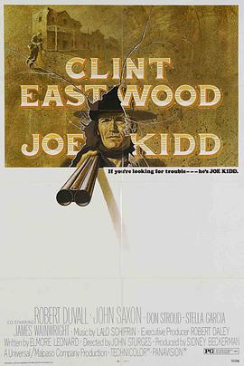 独行神枪侠海报图片