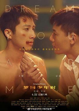 梦回少年时封面图
