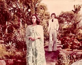 片断粤语封面图