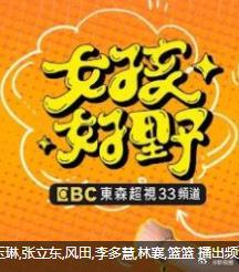 女孩好野海报图片