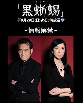 黑蜥蜴2024封面图