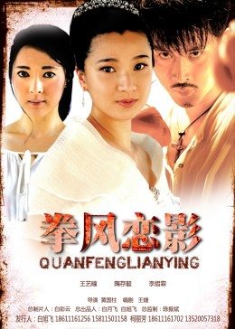 拳风恋影封面图