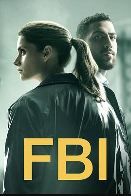 联邦调查局第二季海报图片