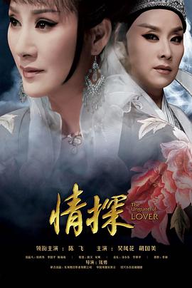 情探封面图
