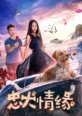 忠犬情缘封面图