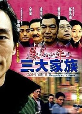 暴风少年之三大家族封面图