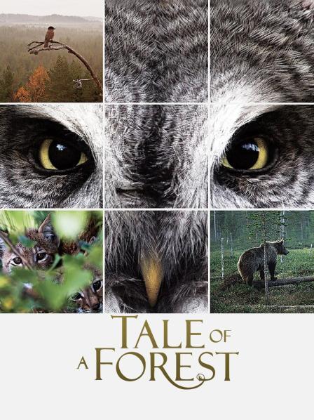 森之传说封面图