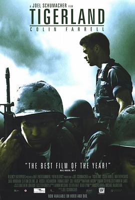 老虎连海报图片