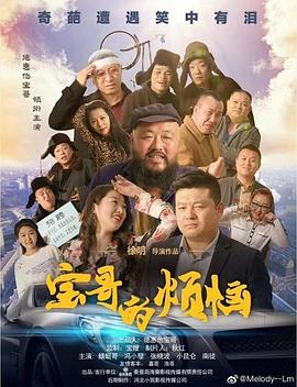 宝哥的烦恼封面图