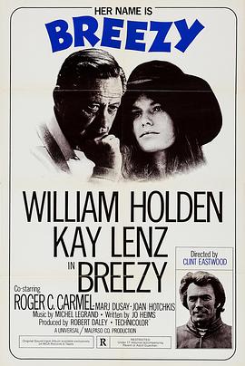 春花秋月未了情海报图片