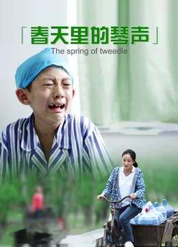 春天里的琴声封面图