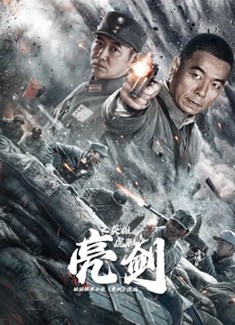 亮剑之英雄虎胆封面图